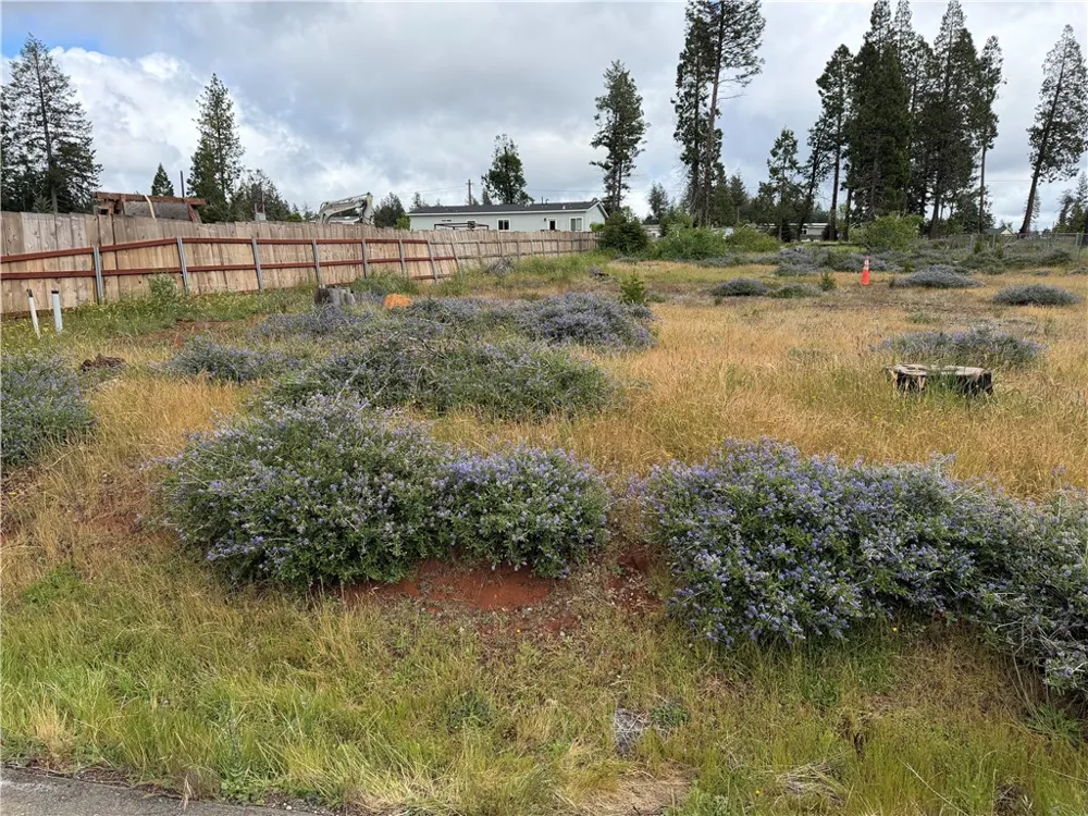 14110 Wingate Magalia, CA 95954