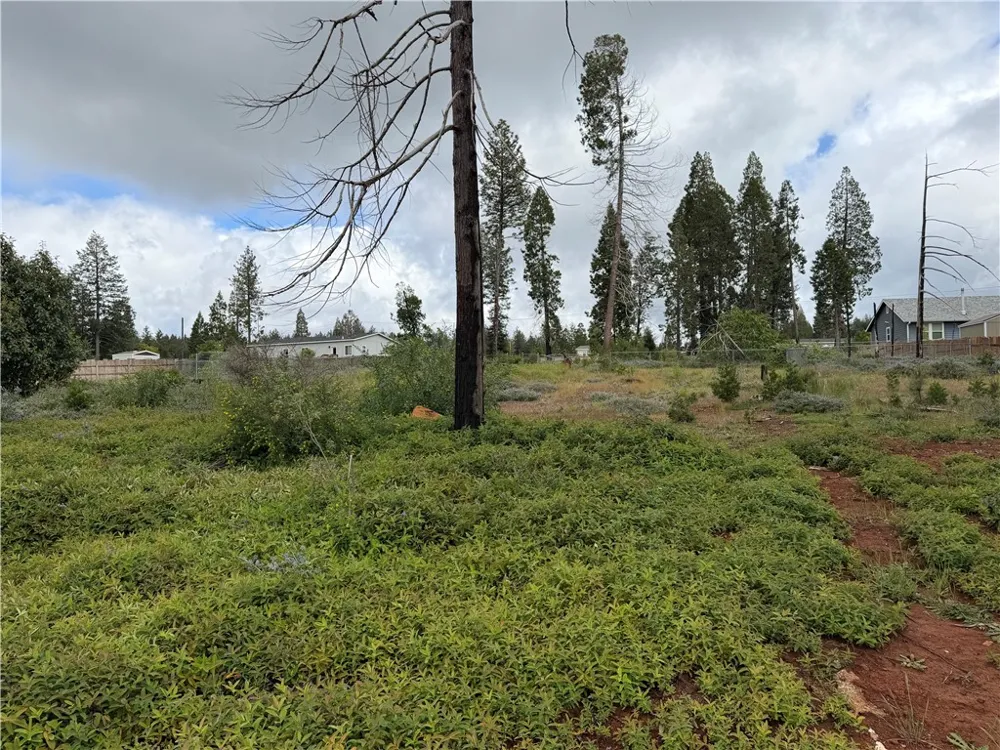 14116 Wingate Magalia, CA 95954