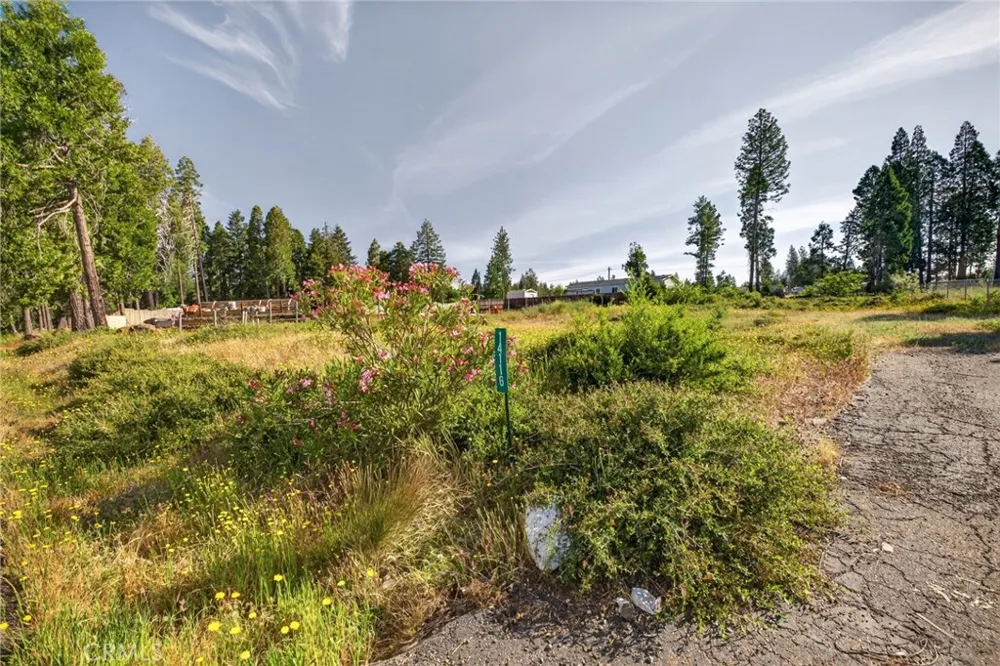 14116 Wingate Magalia, CA 95954