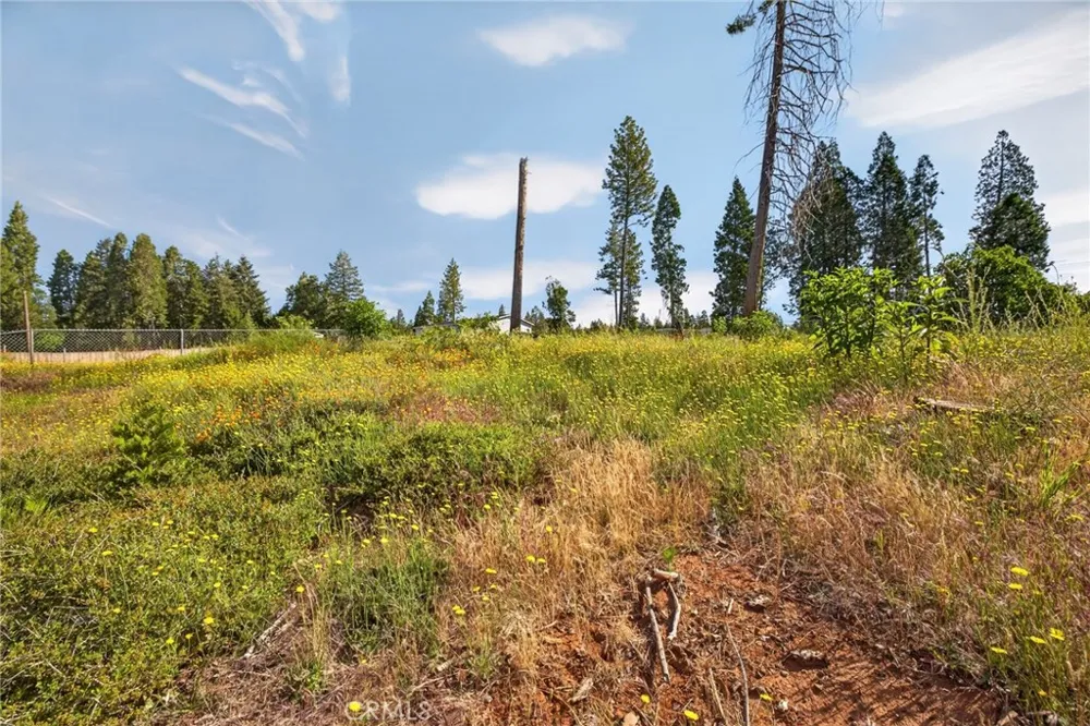 14116 Wingate Magalia, CA 95954