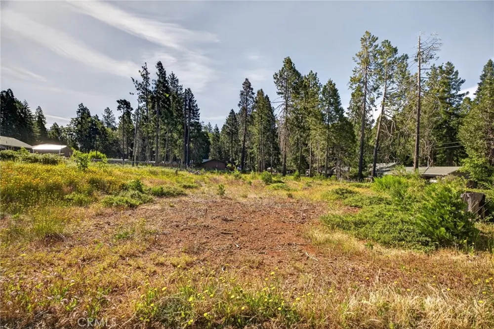 14116 Wingate Magalia, CA 95954