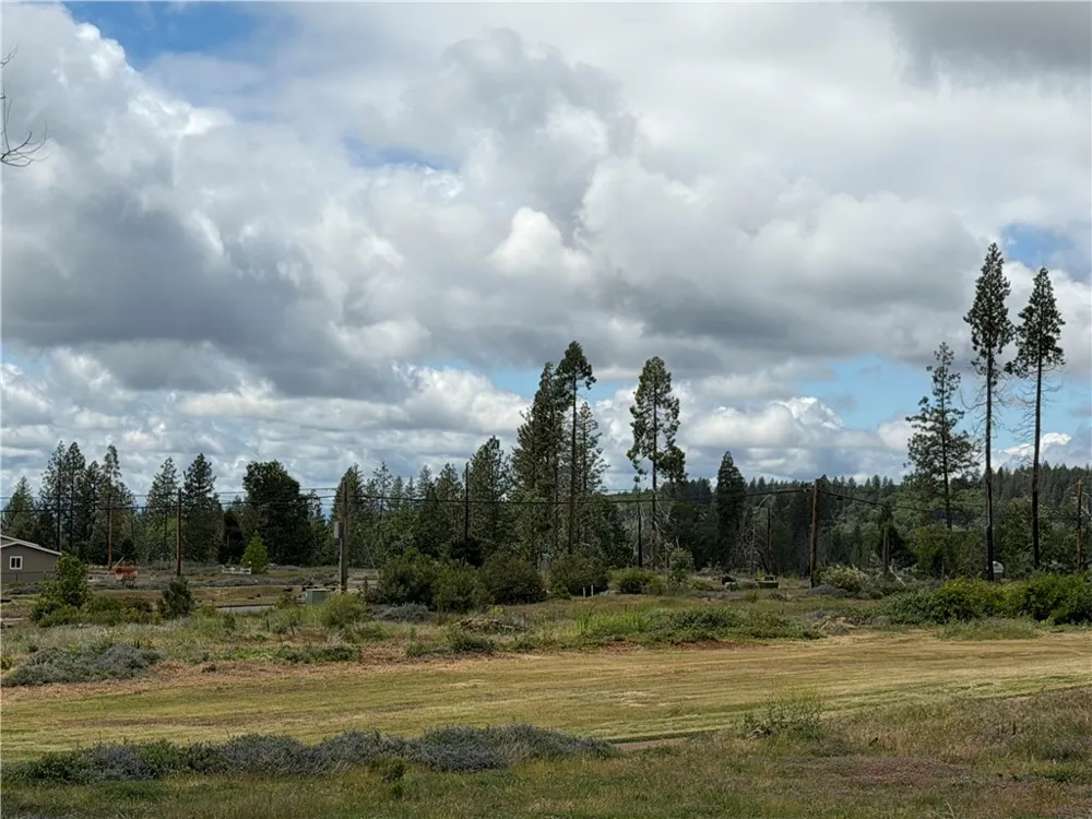 13667 Endicot Magalia, CA 95954