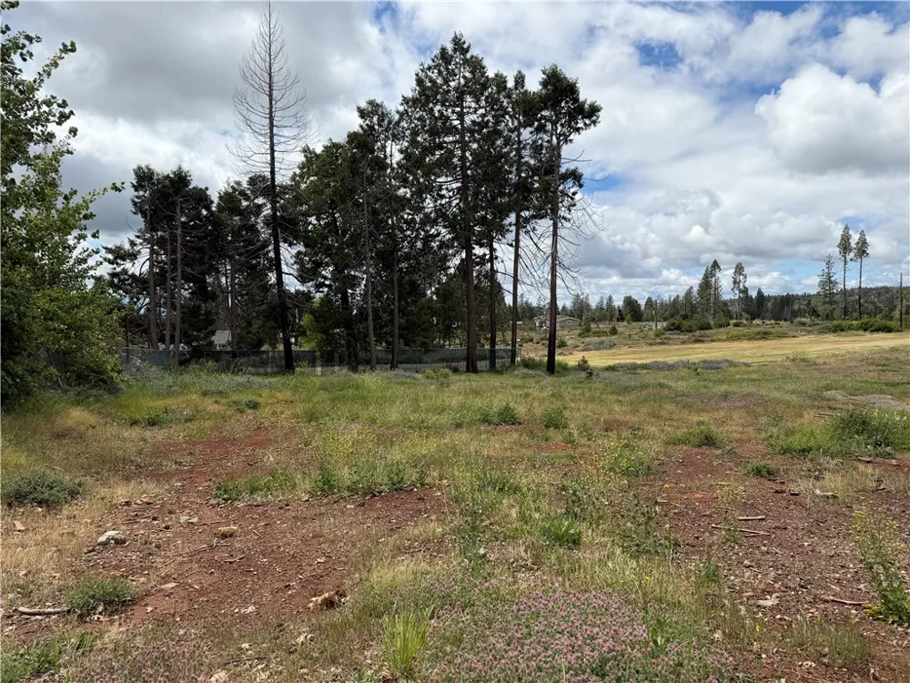 13667 Endicot Magalia, CA 95954