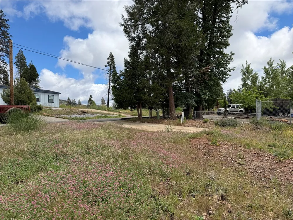 13667 Endicot Magalia, CA 95954