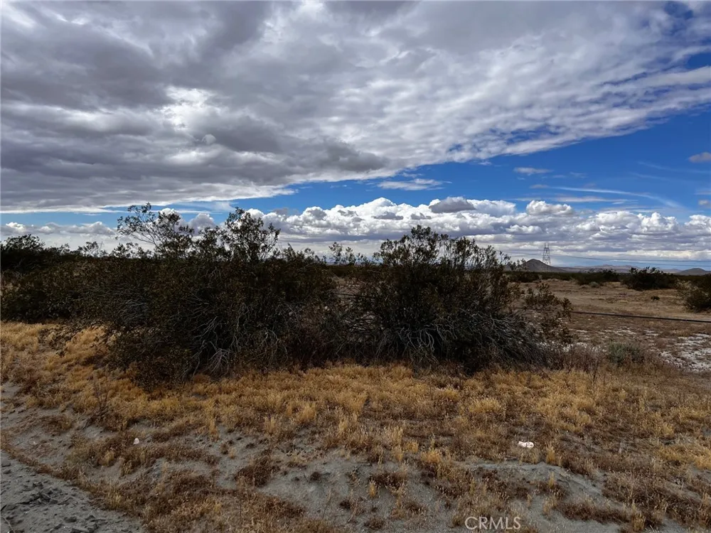 Cactus Road Phelan, CA 92371