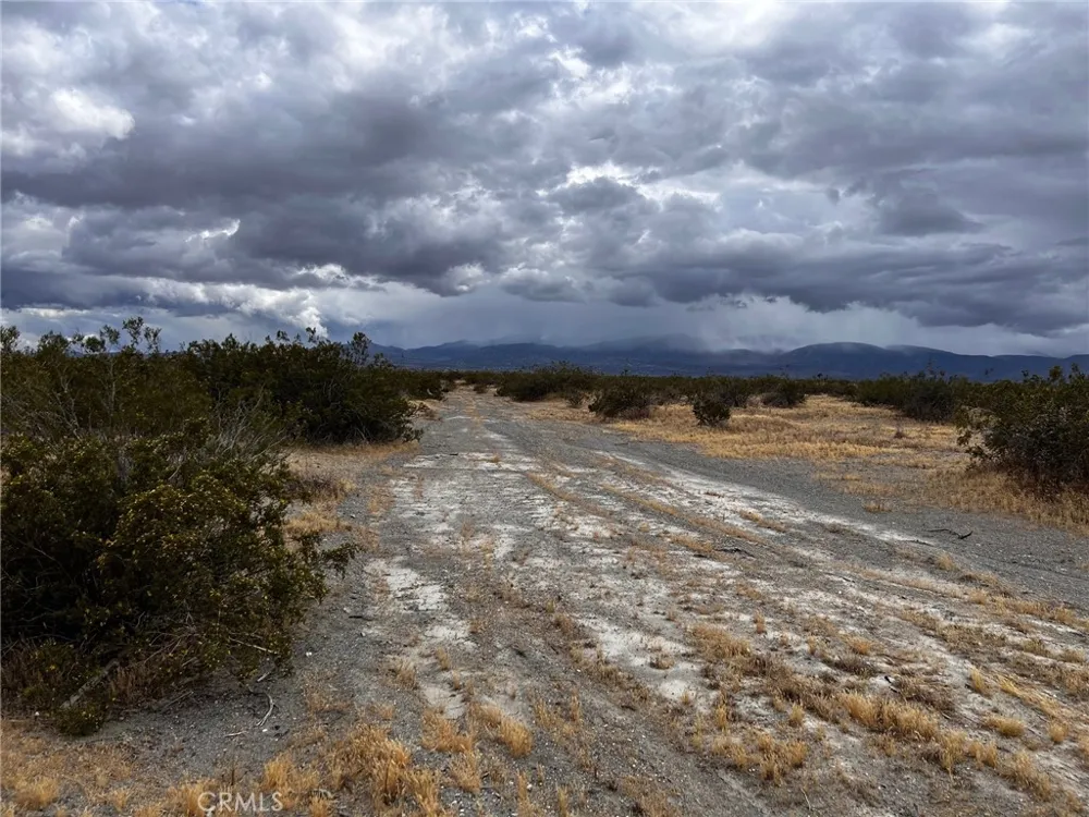 Cactus Road Phelan, CA 92371