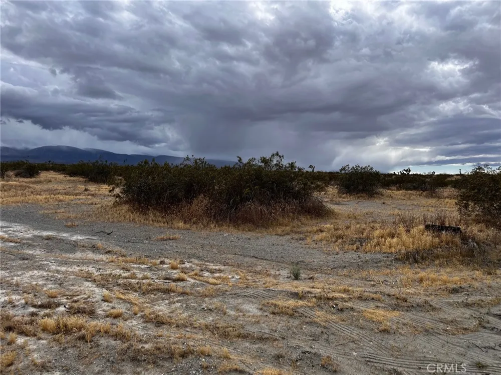 Cactus Road Phelan, CA 92371