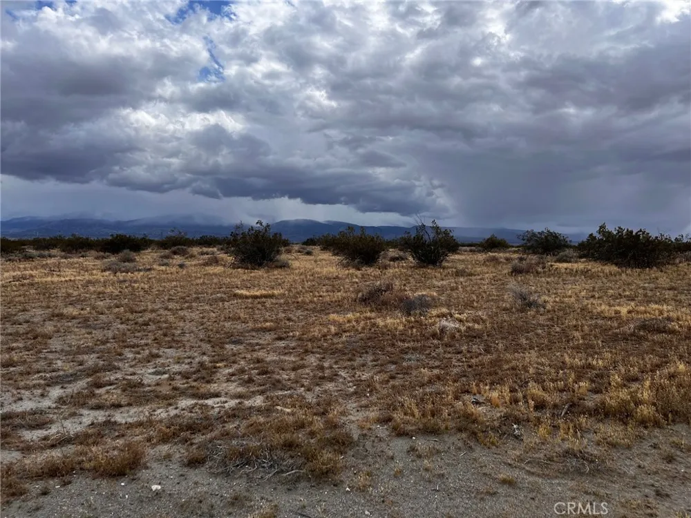 Cactus Road Phelan, CA 92371