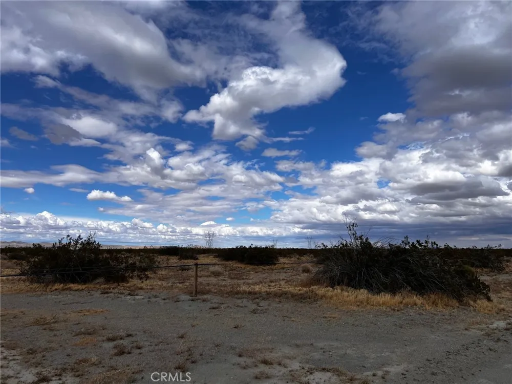 Cactus Road Phelan, CA 92371