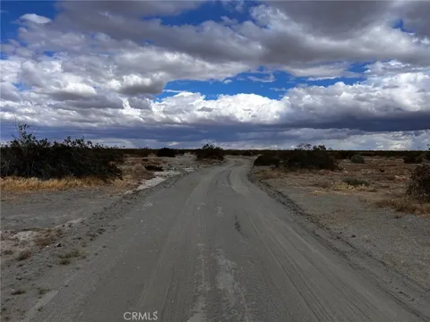 Cactus Road