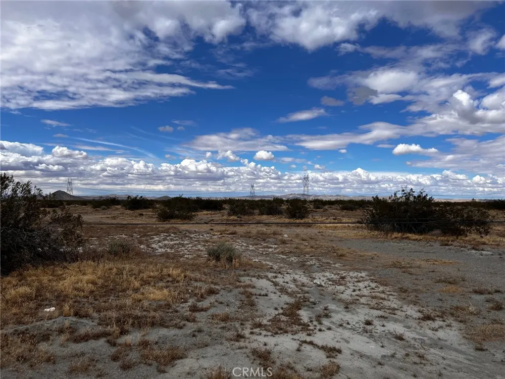 Cactus Road Phelan, CA 92371