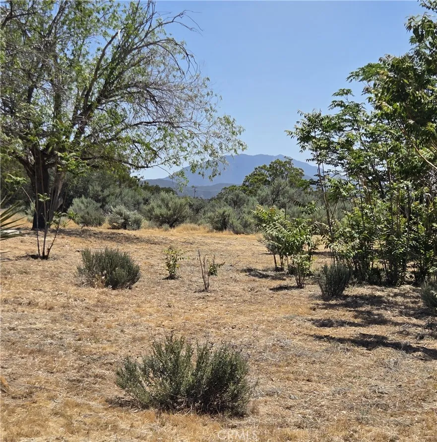 37230 Bautista Canyon Anza, CA 92539