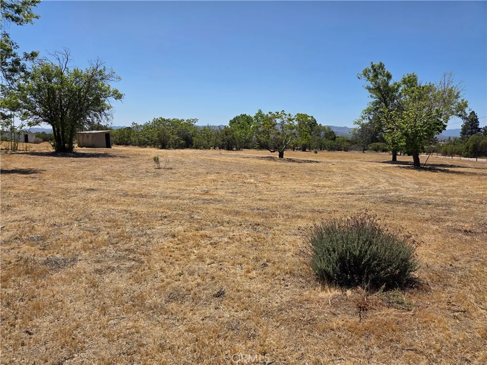 37230 Bautista Canyon Anza, CA 92539