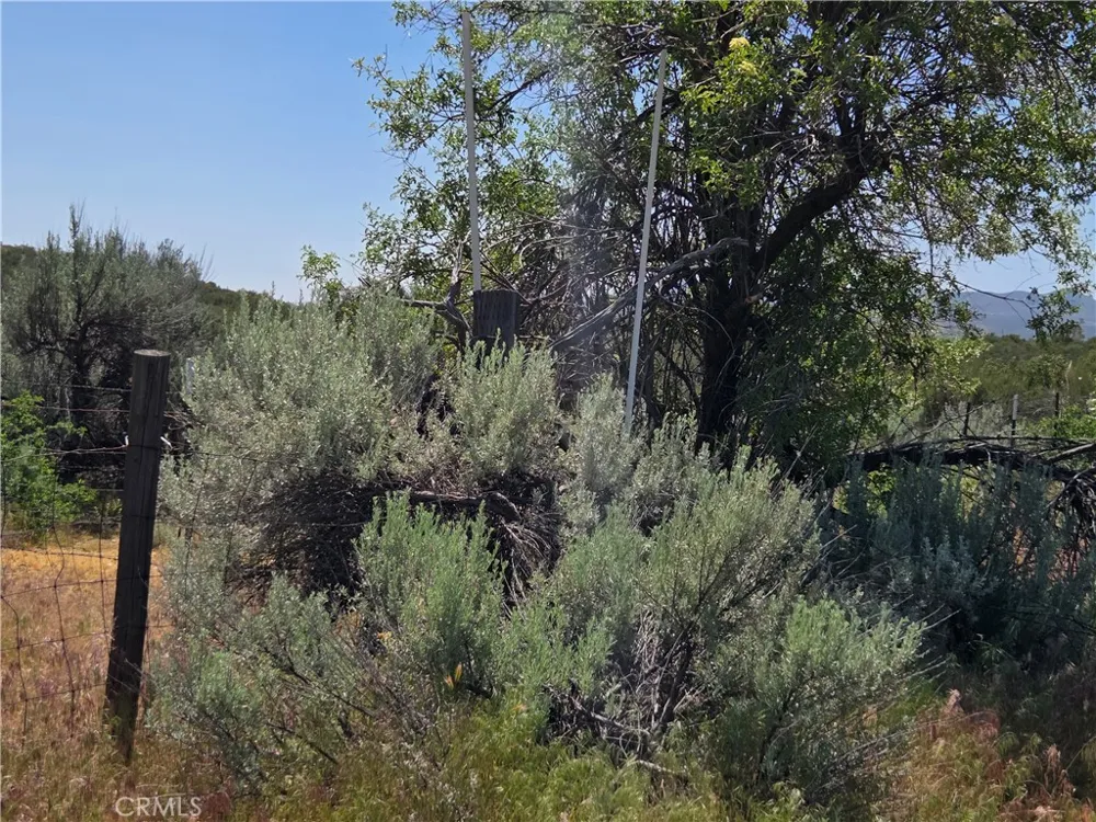 37230 Bautista Canyon Anza, CA 92539