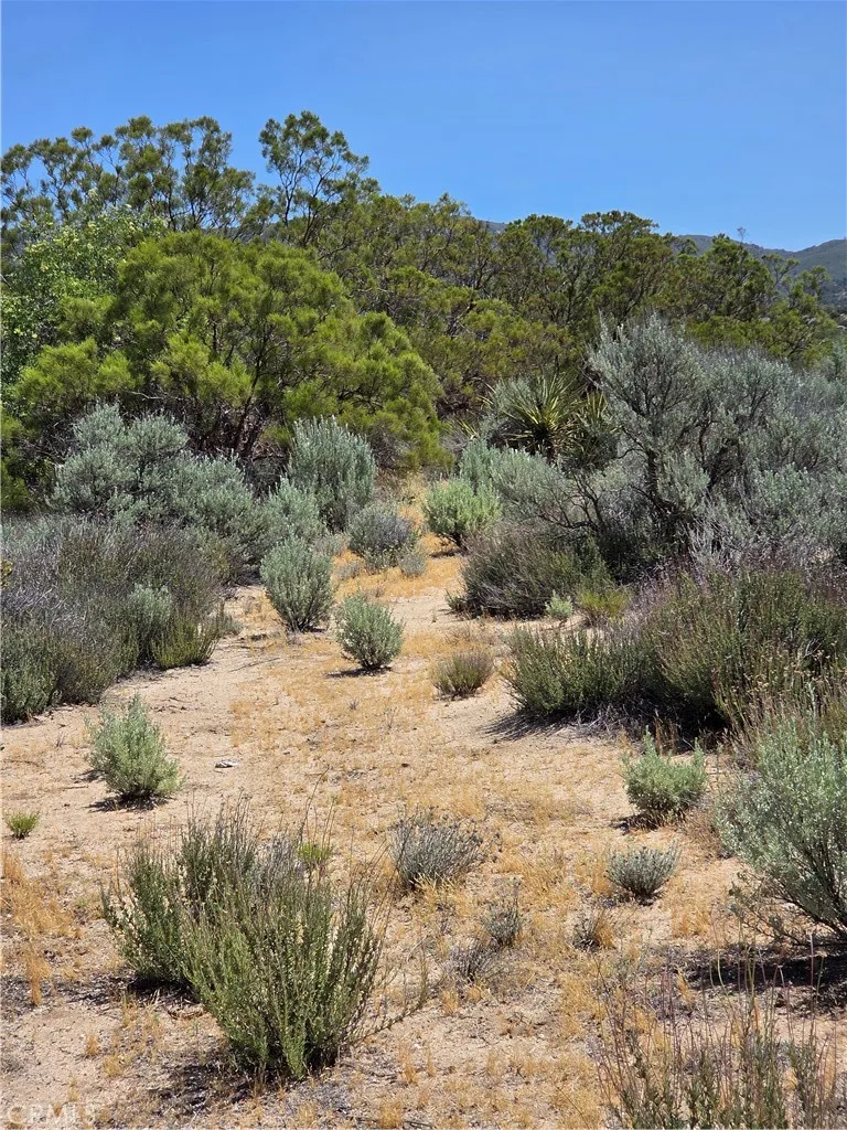 37230 Bautista Canyon Anza, CA 92539