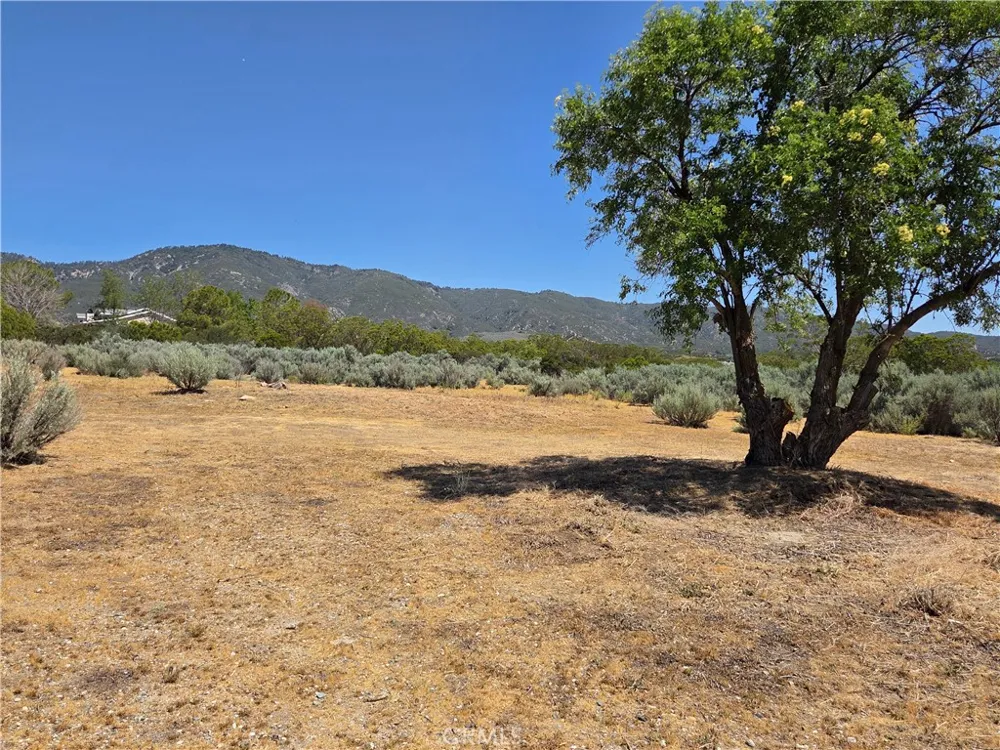 37230 Bautista Canyon Anza, CA 92539