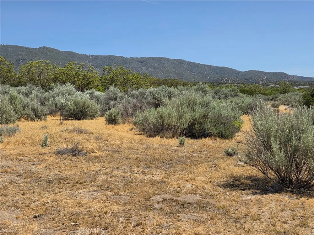 37230 Bautista Canyon Anza, CA 92539