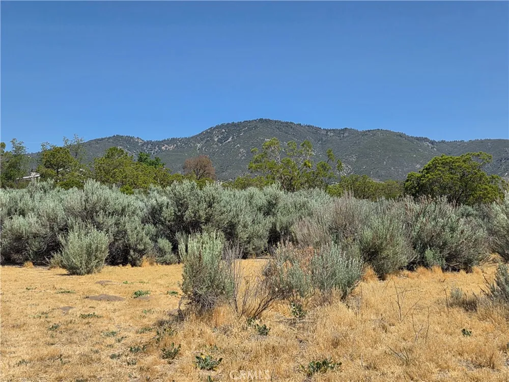 37230 Bautista Canyon Anza, CA 92539