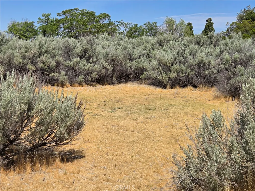 37230 Bautista Canyon Anza, CA 92539