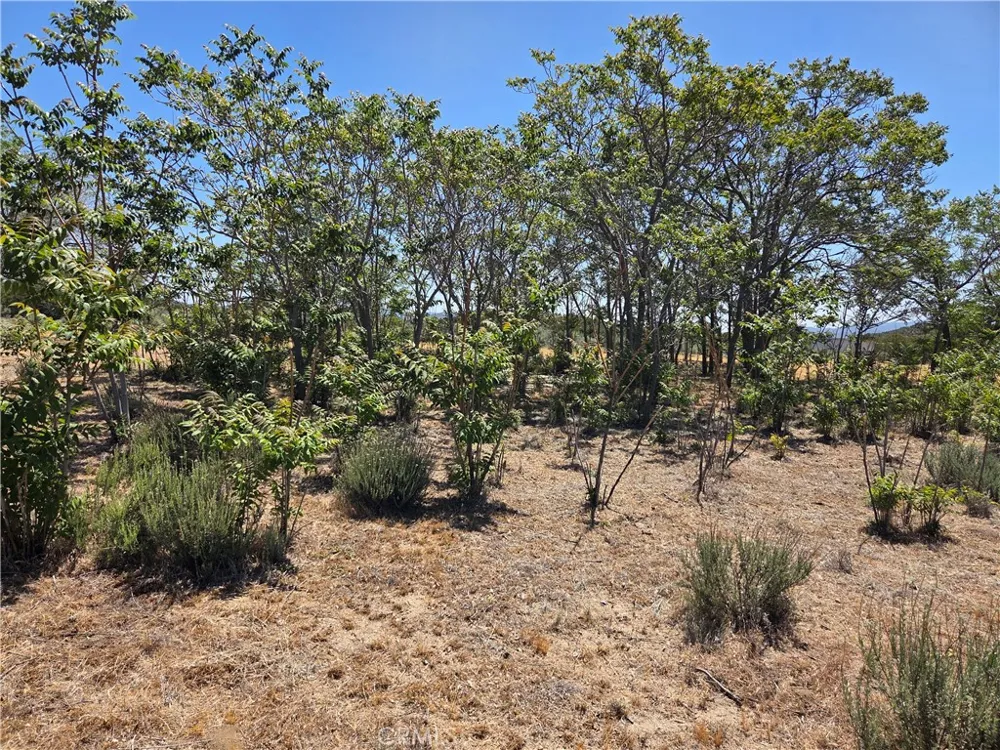 37230 Bautista Canyon Anza, CA 92539
