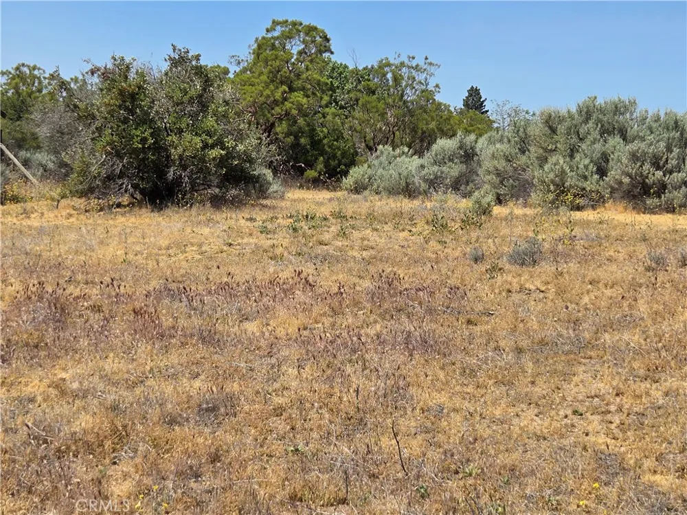 37230 Bautista Canyon Anza, CA 92539