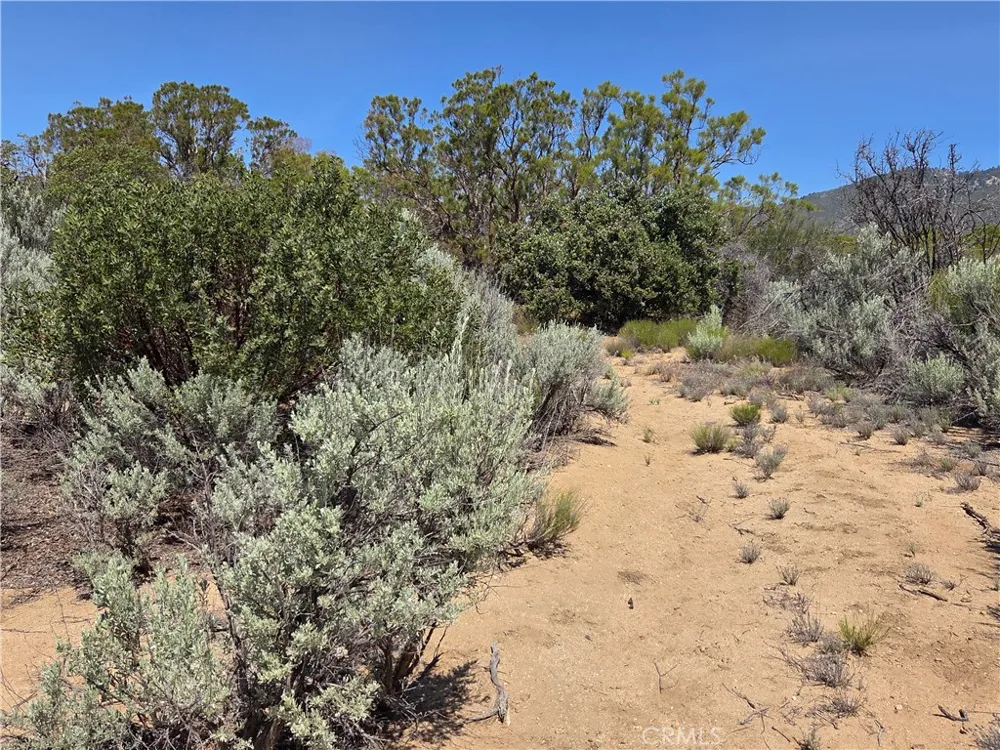 37230 Bautista Canyon Anza, CA 92539