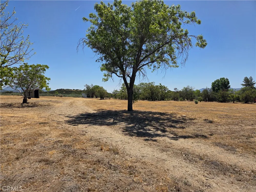 37230 Bautista Canyon Anza, CA 92539