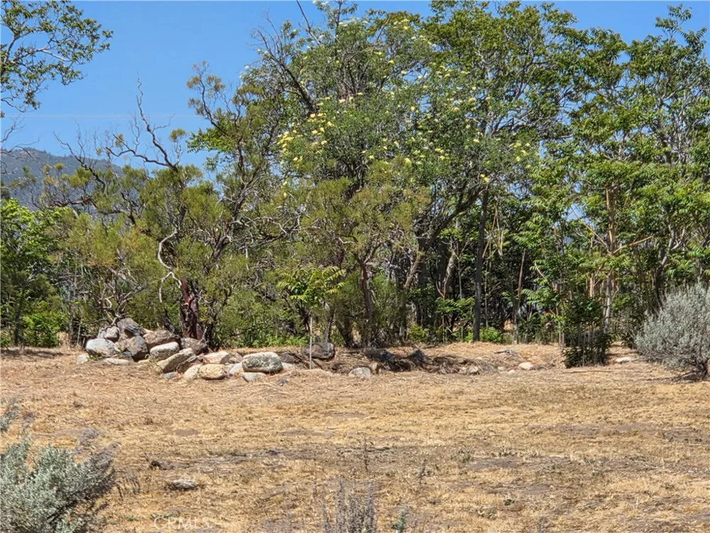 37230 Bautista Canyon Anza, CA 92539