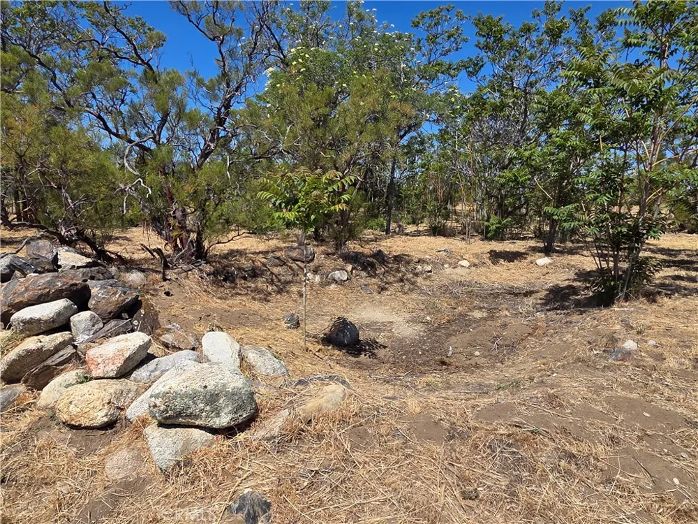 37230 Bautista Canyon Anza, CA 92539