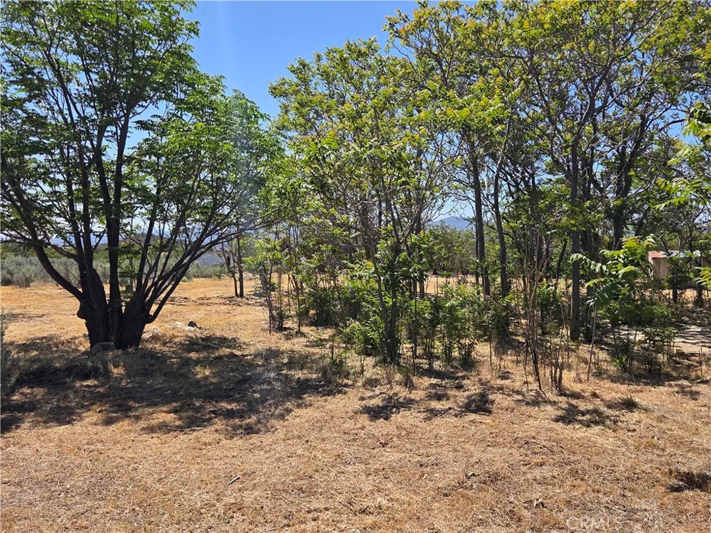 37230 Bautista Canyon Anza, CA 92539