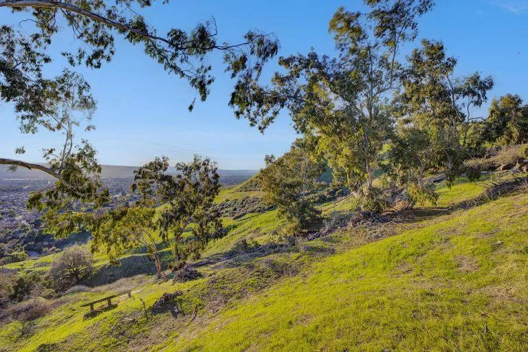 807 Boulder Drive San Jose, CA 95132