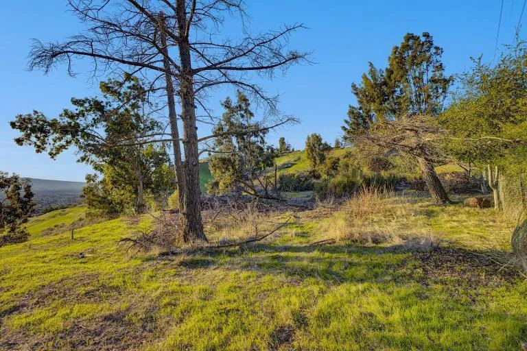 807 Boulder Drive San Jose, CA 95132