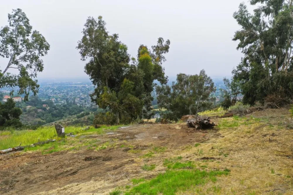 807 Boulder Drive San Jose, CA 95132