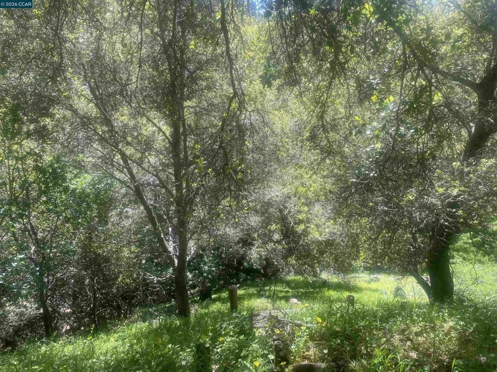 2 Charles Hill Cir Orinda, CA 94563