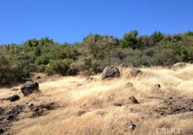 Batt Road Forest Ranch, CA 95942