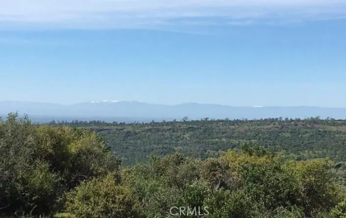 Batt Road Forest Ranch, CA 95942