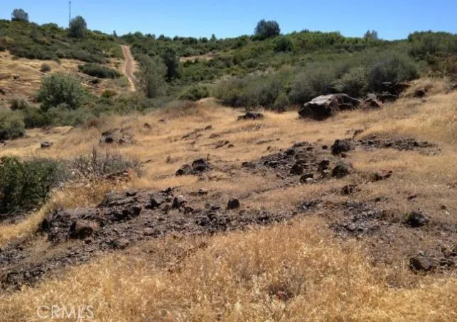 Batt Road Forest Ranch, CA 95942