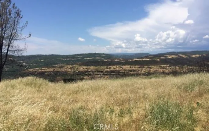 Batt Road Forest Ranch, CA 95942