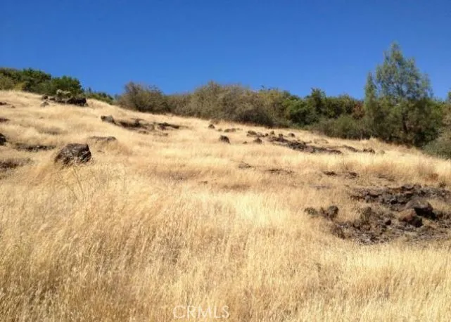 Batt Road Forest Ranch, CA 95942