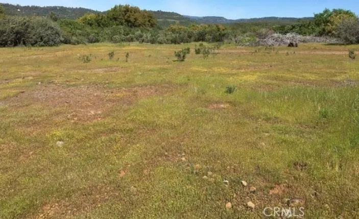 Batt Road Forest Ranch, CA 95942