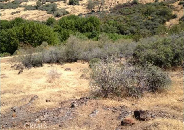 Batt Road Forest Ranch, CA 95942