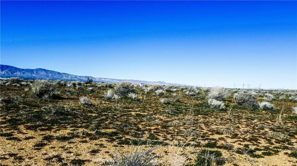 No Address Available Mojave, CA 93501