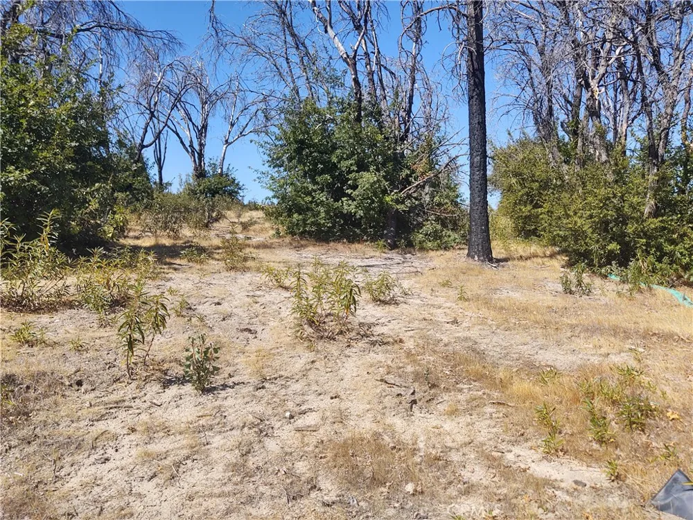 363 Raccoon Road Berry Creek, CA 95916