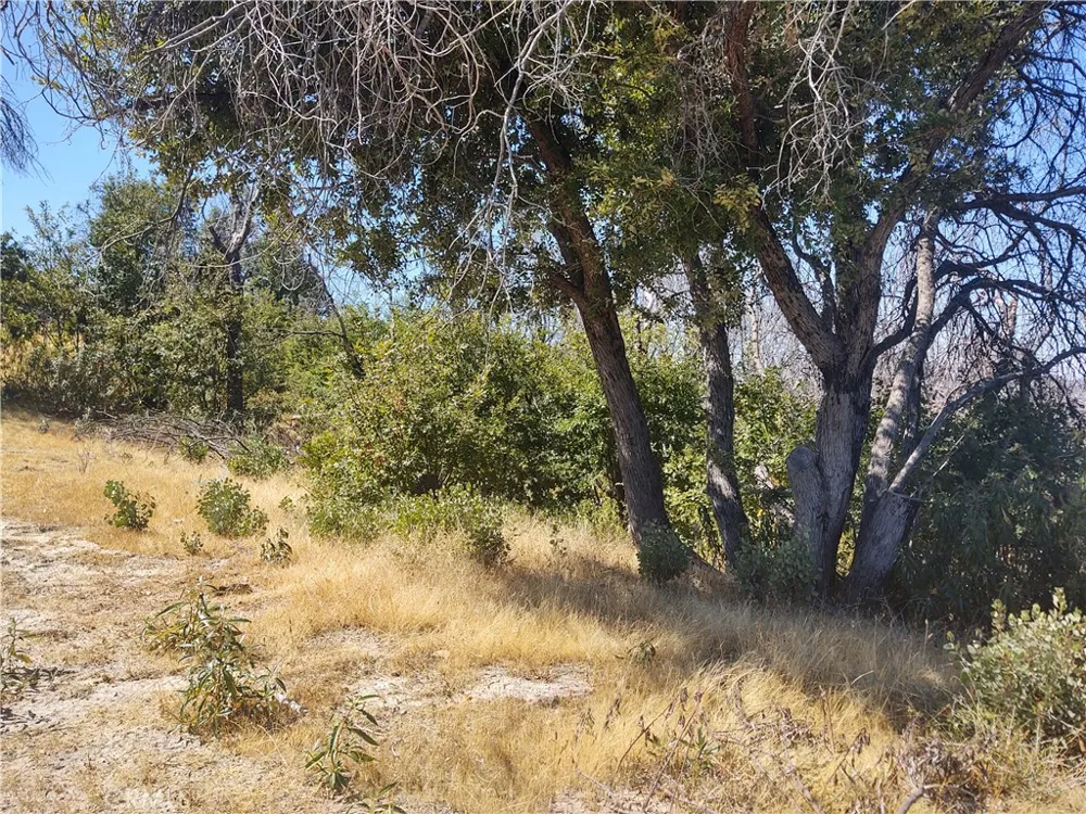 363 Raccoon Road Berry Creek, CA 95916