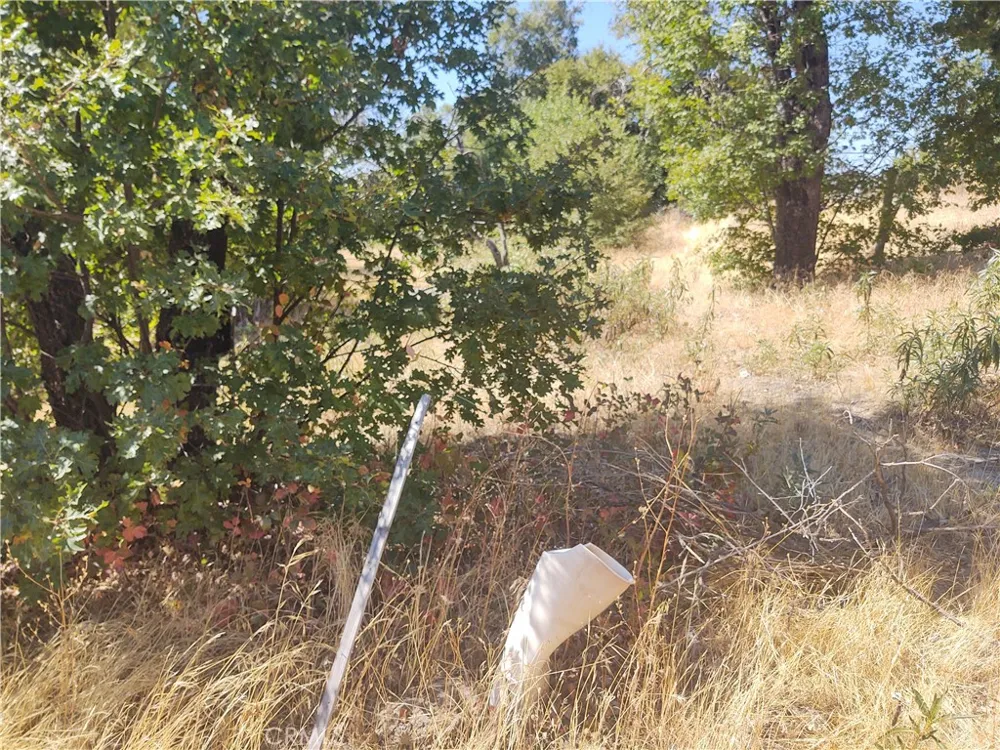 363 Raccoon Road Berry Creek, CA 95916