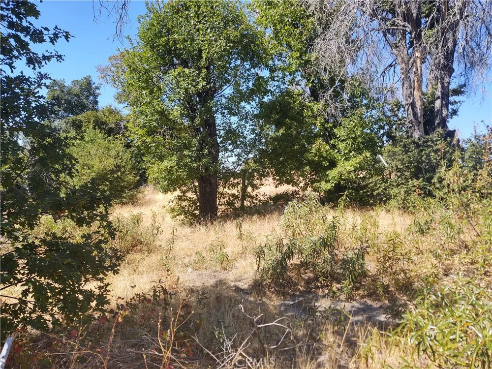 363 Raccoon Road Berry Creek, CA 95916