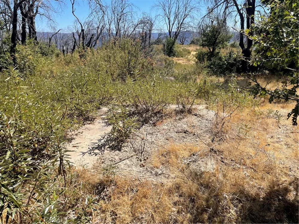 363 Raccoon Road Berry Creek, CA 95916