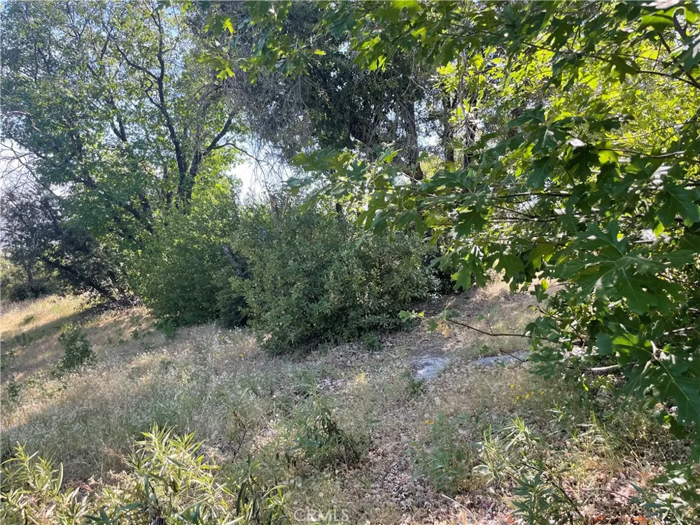 363 Raccoon Road Berry Creek, CA 95916
