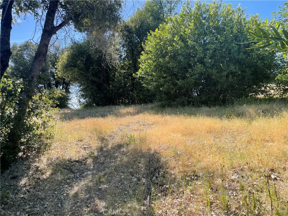 363 Raccoon Road Berry Creek, CA 95916