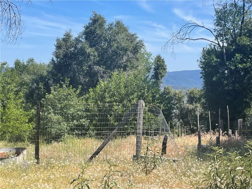 363 Raccoon Road Berry Creek, CA 95916